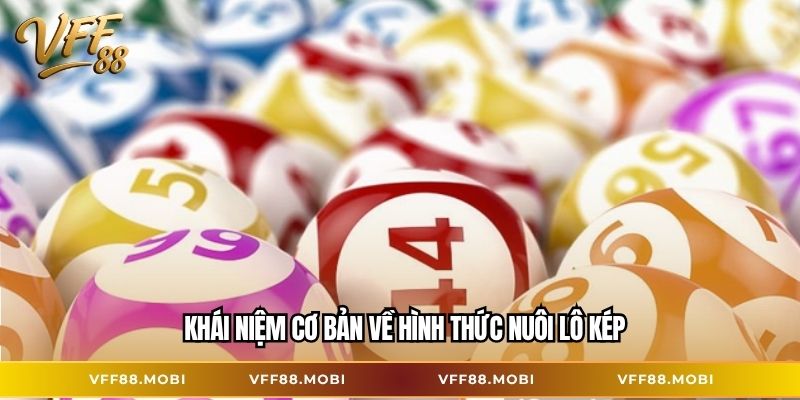 Khái niệm cơ bản về hình thức nuôi lô kép