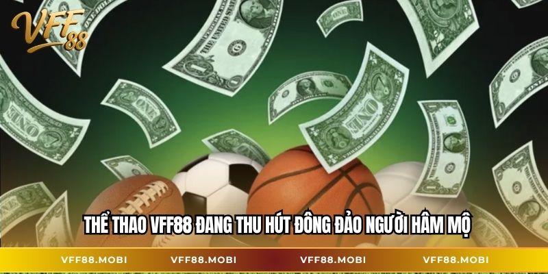 Thể thao VFF88 đang thu hút đông đảo người hâm mộ